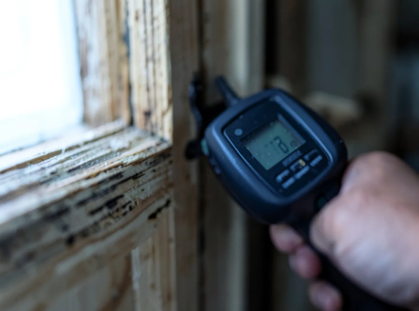 Moisture Inspection And Documentation in Linton, ND